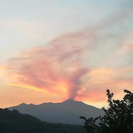 Argenta 111 Santa Tecla