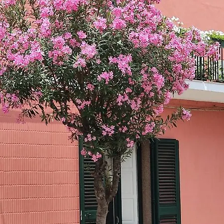 Argenta 111 Santa Tecla Acireale