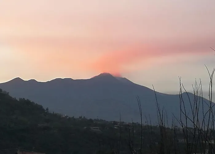 Argenta 111 Santa Tecla *