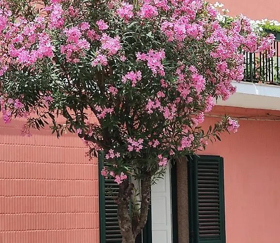 Argenta 111 Santa Tecla Acireale